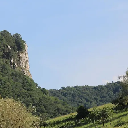 Дом отдыха Domaine De Bellevue Du Mont Begon *